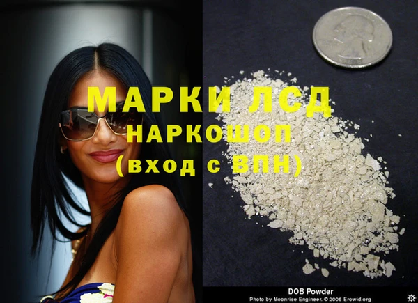 apvp Алексин